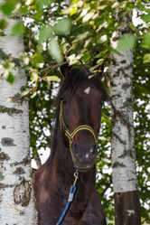 Similar image 5505368