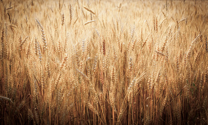 Similar image 5505382