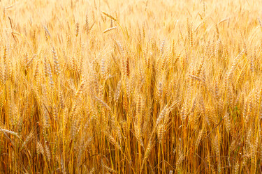 Similar image 5505383