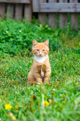 Similar image 5505421