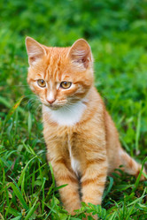 Similar image 5505425