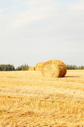 Similar image 5505556