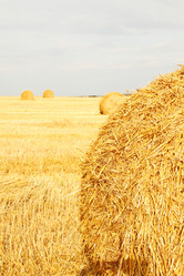 Similar image 5505557