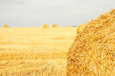 Similar image 5505558