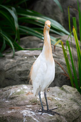 Similar image 5505583