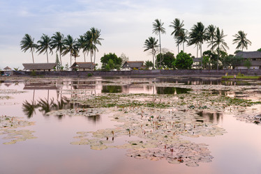 Similar image 5505662