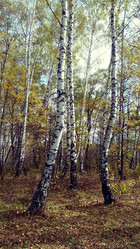 Similar image 5505665