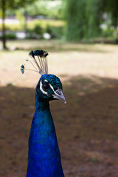 Similar image 5505669