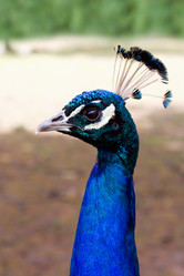 Similar image 5505670