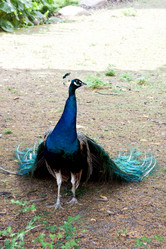 Similar image 5505671