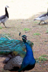 Similar image 5505672