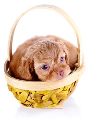 Similar image 5505673