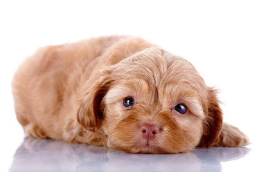 Similar image 5505674