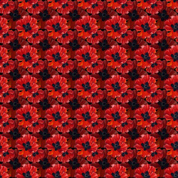 Similar image 5505700