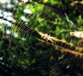 Similar image 5505720