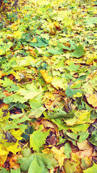 Similar image 5505722