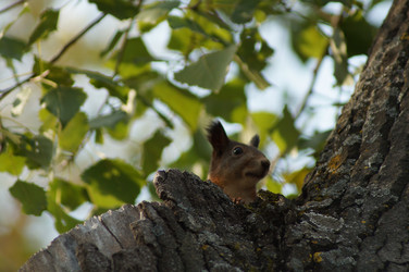 Similar image 5505753