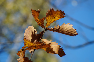 Similar image 5505754