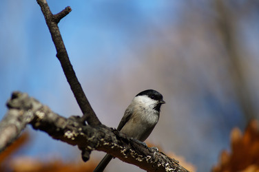 Similar image 5505756