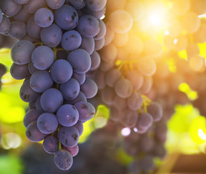 Similar image 5505823