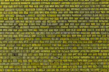 Similar image 5505928