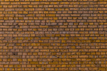 Similar image 5505931