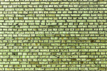 Similar image 5505934