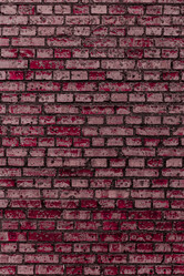 Similar image 5505937