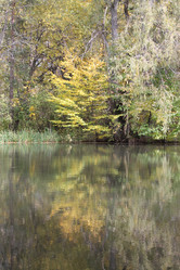 Similar image 5507134