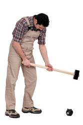 Similar image 5507190