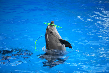 Similar image 5507226