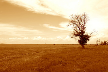 Similar image 5507228