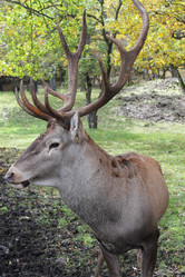 Similar image 5507376