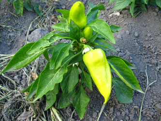 Similar image 5507487