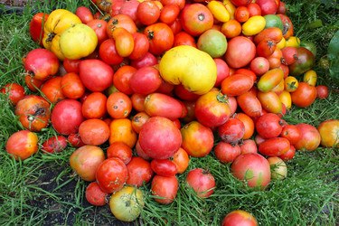 Similar image 5507679