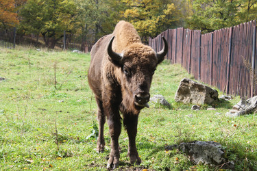 Similar image 5508074