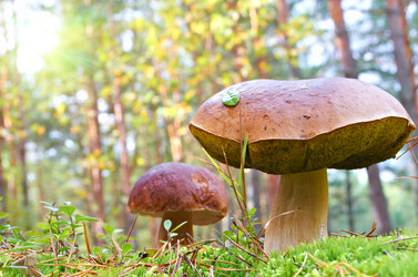 Similar image 5508148