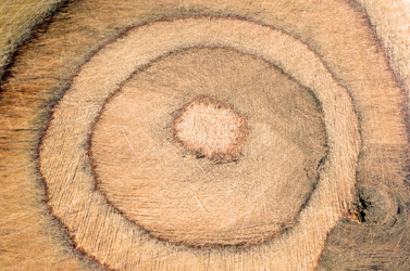 Similar image 5508153