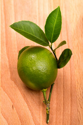 Similar image 5508237