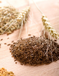 Similar image 5508241