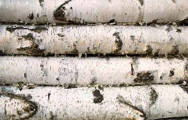 Similar image 5508244