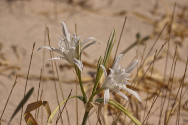 Similar image 5508256