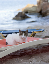 Similar image 5508258