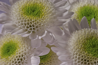 Similar image 5508262