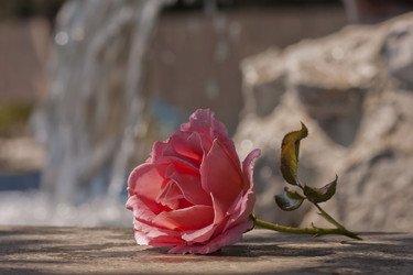 Similar image 5508263