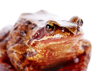 Similar image 5508377