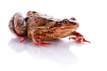 Similar image 5508378