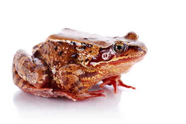 Similar image 5508379