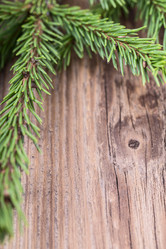 Similar image 5508380