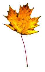 Similar image 5508499